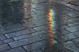 rainbow on street