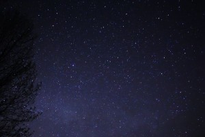 night sly
