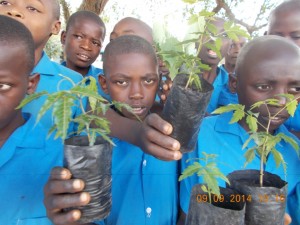 Kundeni Schoolchildren holding saplings